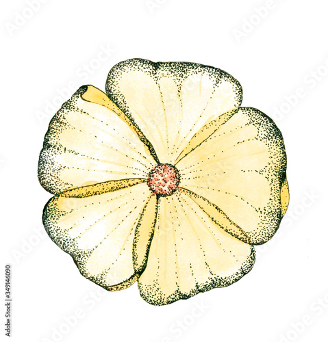 Wallpaper Mural Watercolor and graffic yellow and black flower on white background Torontodigital.ca