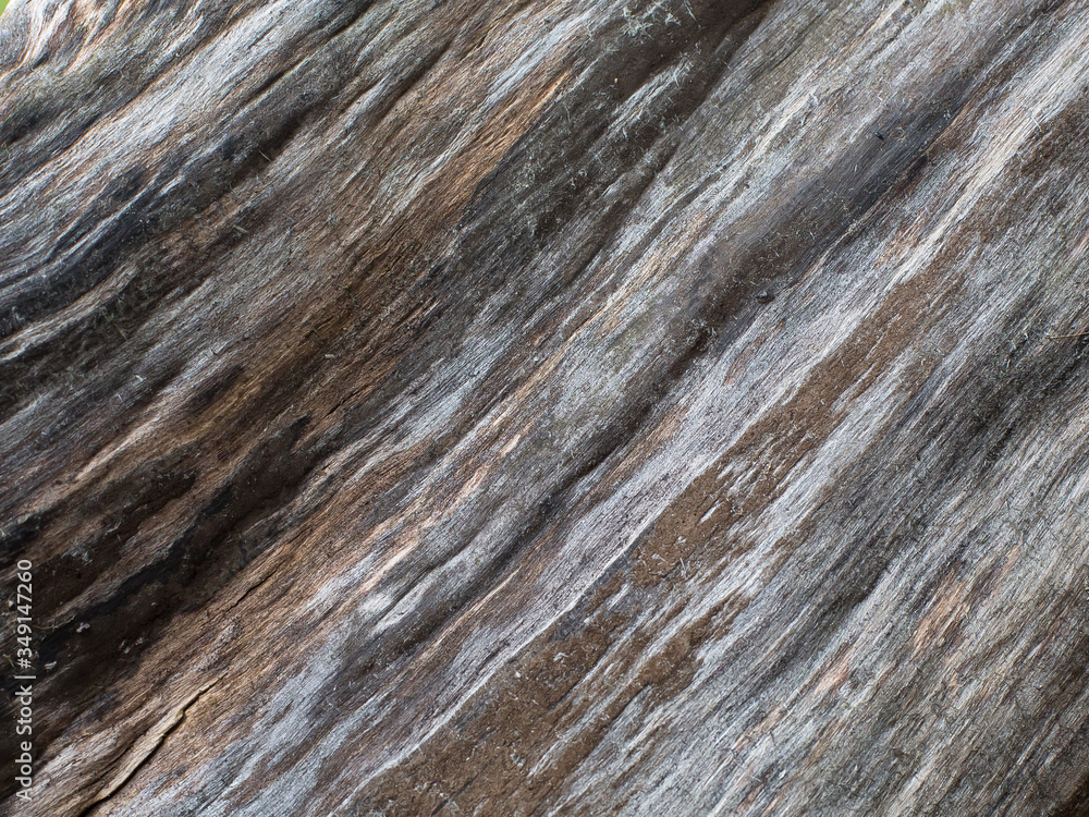 old wood texture old wood texture