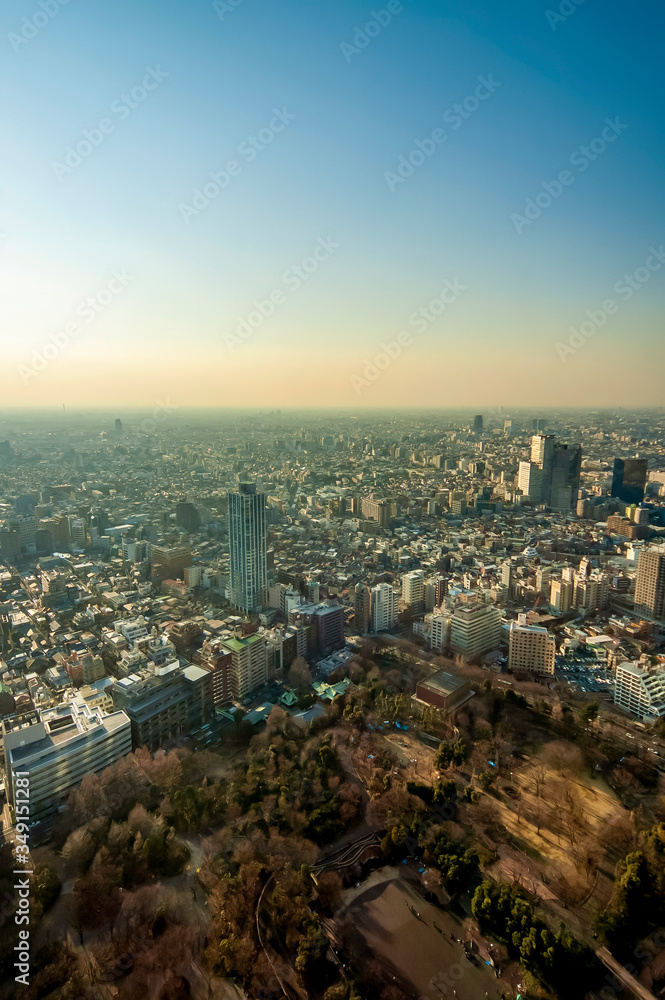 Japan Tokyo  : Aerial View Of Tokyo City At Sunset