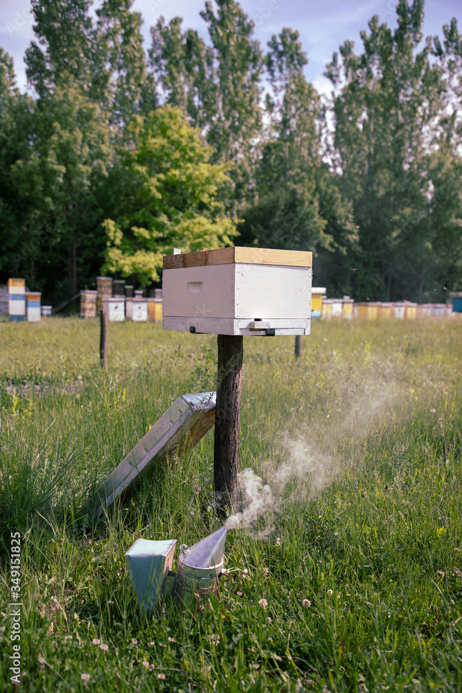 Bee hives and bee smoker, puffing smoke, on a field Bee hives and bee smoker, puffing smoke, on a field