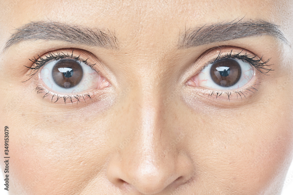 Fototapeta premium Zdrowie i pielęgnacja oczu. Portret dziewczyny twarz z gładką, zdrową skórę i doskonały naturalny makijaż. Zbliżenie piękna kobieta z dużymi brązowymi oczami i brwiami na białym tle. Obraz w wysokiej rozdzielczości