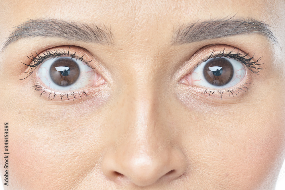 Obraz premium Eye Health And Care. Portrait Of Girl Face With Smooth Healthy Skin And Perfect Natural Makeup. Closeup Of Beautiful Woman With Big Brown Eyes And Eyebrows On White Background. High Resolution Image