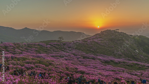 Sunrise in the beautiful azalea mountain