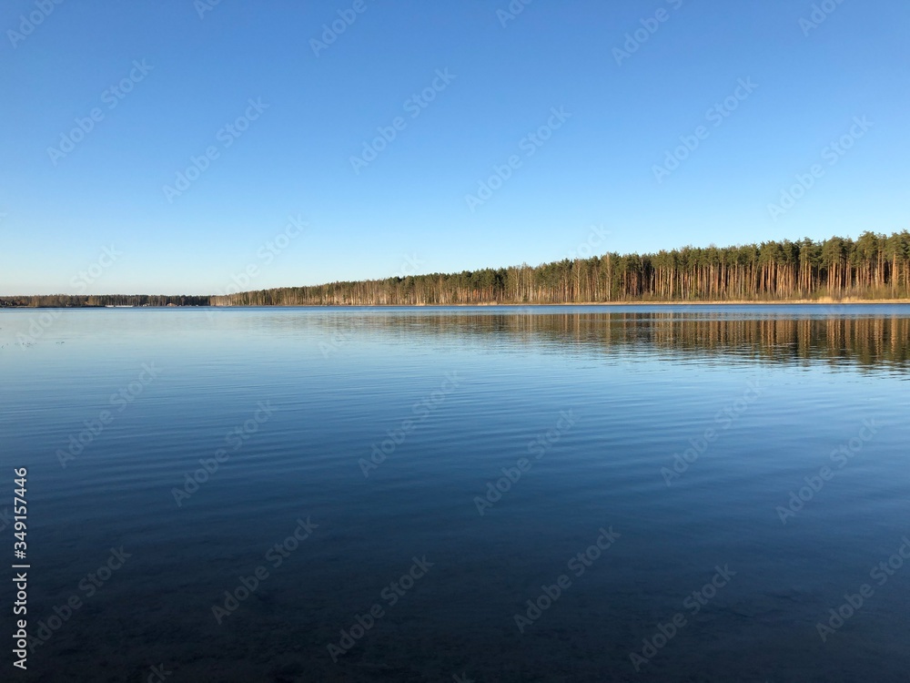 lake in the forest, water and sky lake in the forest, water and sky