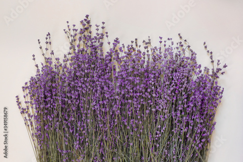 Bouquet of dry purple fragrant lavender on green paper background.