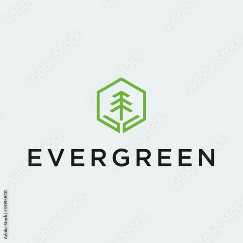 evergreen logo / tree vector