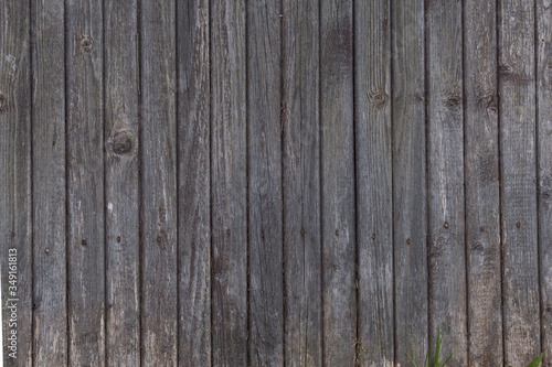 Wallpaper Mural wood textures Torontodigital.ca
