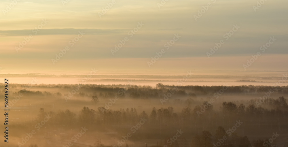 Mysterious forest in the fog in warm colors against the morning sky. Copy space