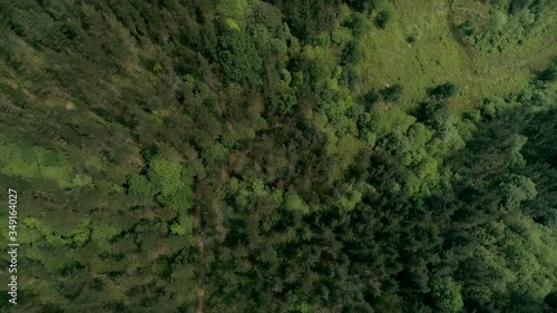 Green lush forest and view of Urkiola Natural Park mountains, Spain, aerial photo