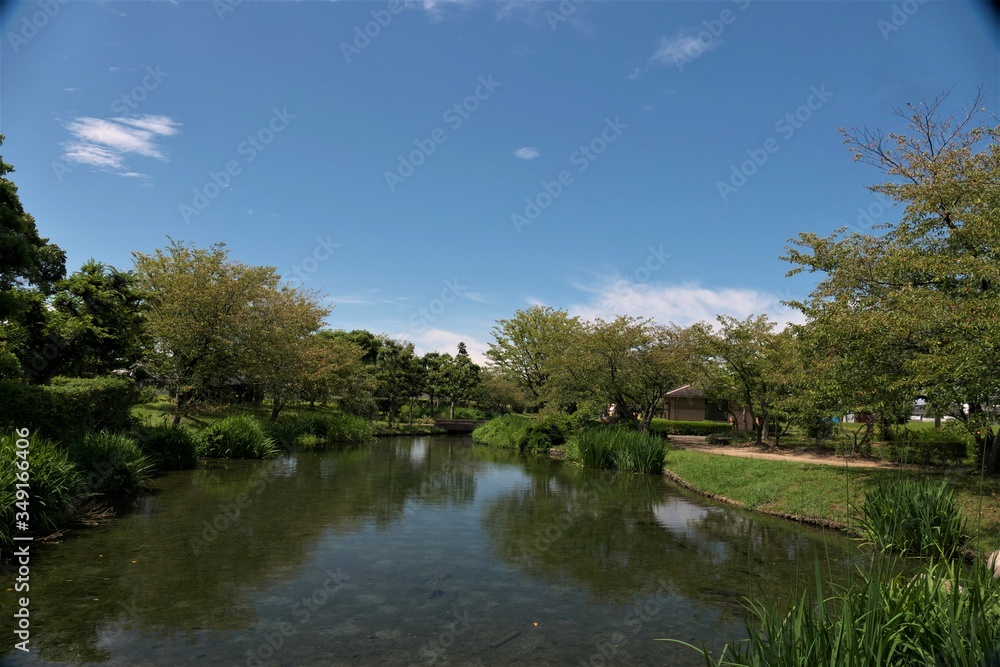 青空と緑の豊かな公園
青空と緑の豊かな公園