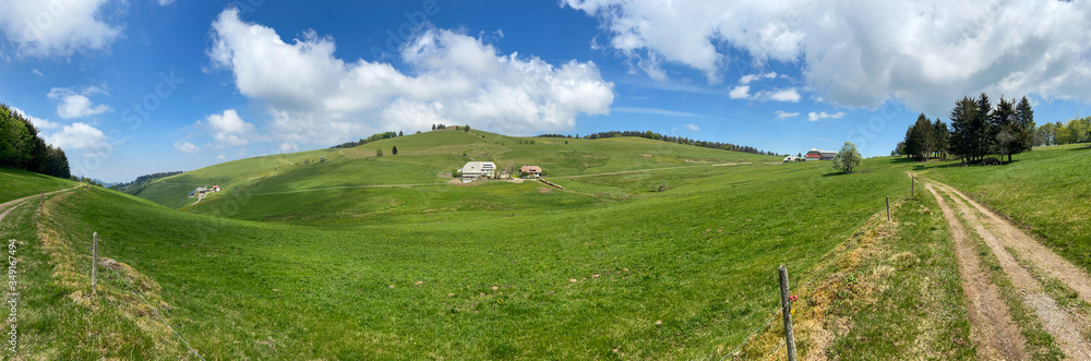 Obraz premium Frühling im Schwarzwald 
