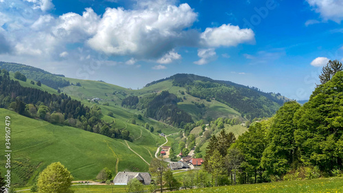 Frühling im Schwarzwald  photo