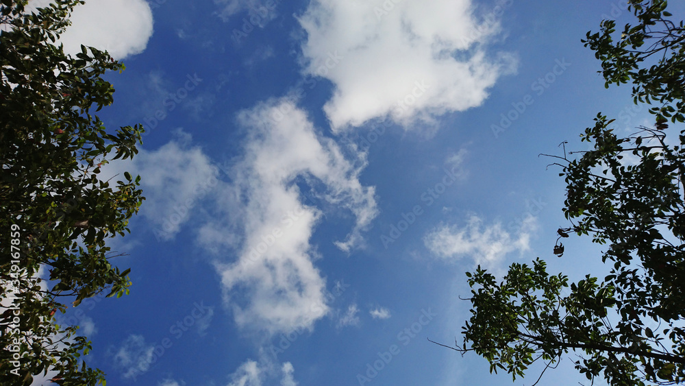 The weather landscape of blue sky and white clouds The weather landscape of blue sky and white clouds