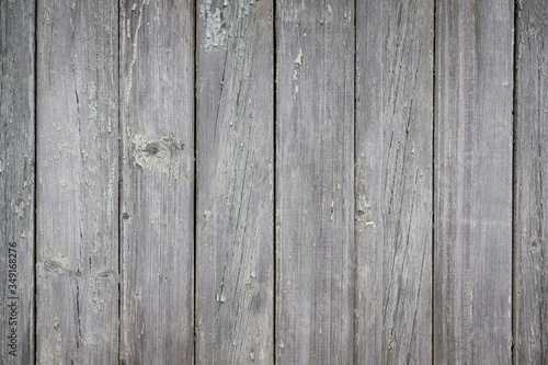 Wallpaper Mural Part of an old fence of painted wooden boards on the street. Old wooden fence made of flat boards. Faded texture with peeling paint. Copy space Torontodigital.ca
