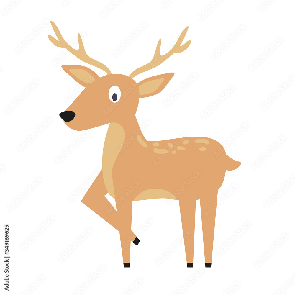 Obraz premium Cartoon deer isolated on white background. Zoo animals. Illustration for children books. Cute vector illustration in flat style