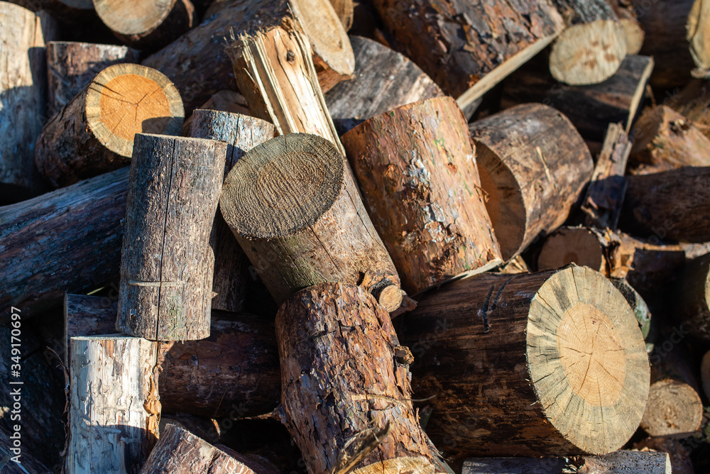 Firewood for furnace heating. Warehouse firewood for stove. Firewood stacked and prepared for winter Pile of wood logs Firewood for furnace heating. Warehouse firewood for stove. Firewood stacked and prepared for winter Pile of wood logs