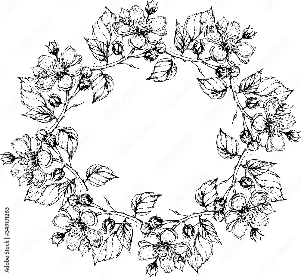Set graphic with flowers and berries. Drawn illustration separately on a white background. Blackberries, currants, leaves, branches, flowers. Print, textile, wallpaper, paper, vintage, retro.