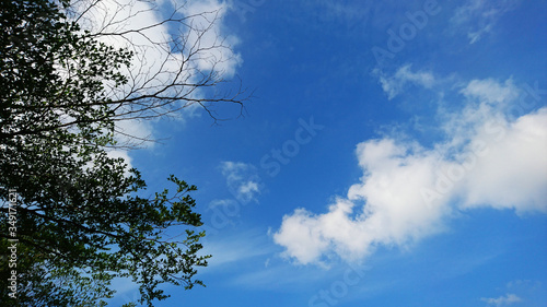 The weather landscape of blue sky and white clouds