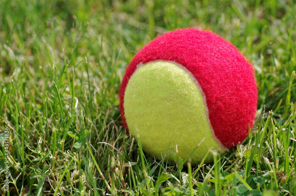 Red green tennis ball in grass