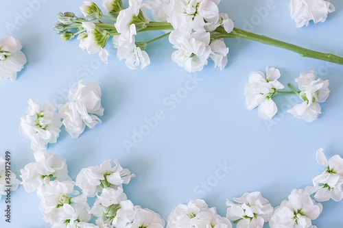 Small white flowers and a flowering branch are on a sky blue background. This is the place for your beauty products and text. Background for the product. flower frame, Top view
