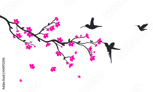 Vector illustration of Beautiful Birds on a blossom tree branch