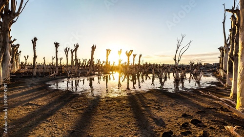 Water pool and dead trees with sunlight in the background. Epecuen tourist village in Buenos Aires Province, Argentina 