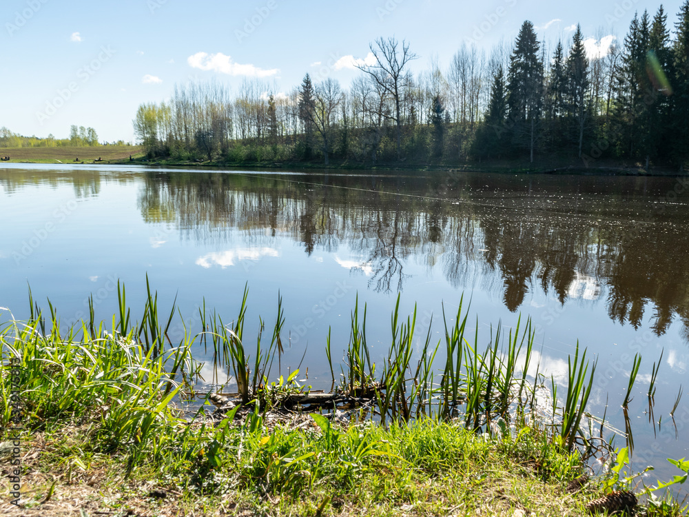 peaceful spring landscape with a clear lake and beautiful reflections of clouds and trees, green grass and the first spring flowers in the foreground