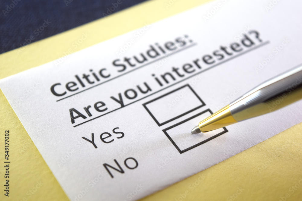 One person is answering question about celtic studies. One person is answering question about celtic studies.