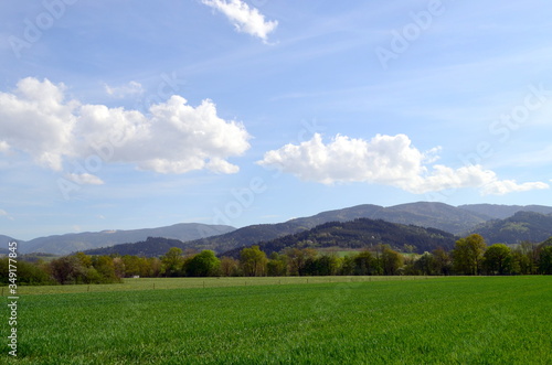 Gr  ne Fr  hlingslandschaft im Dreisamtal bei Freiburg