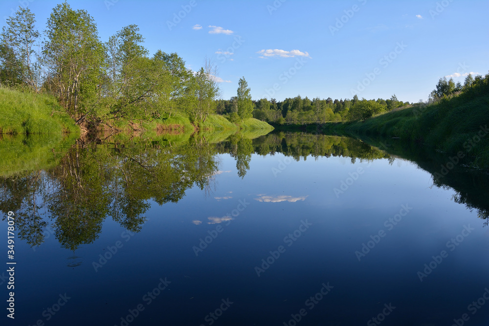 summer calm lake in the forest