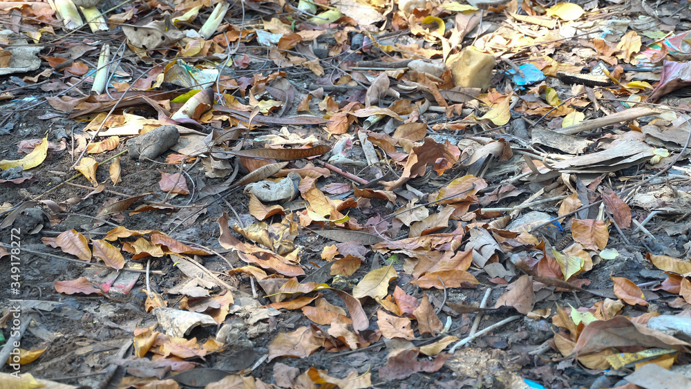 Dirty soil with lots of dry leaves and trash on it. Dirty soil with lots of dry leaves and trash on it.