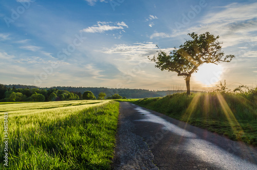 Abendstimmung im Taunus Taunusstein Hessen photo