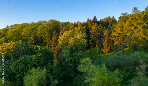 Fototapeta Naklejka Na Ścianę i Meble -  Bird's-eye view of a scenic sunset over the forest hills, with toned dramatic colors