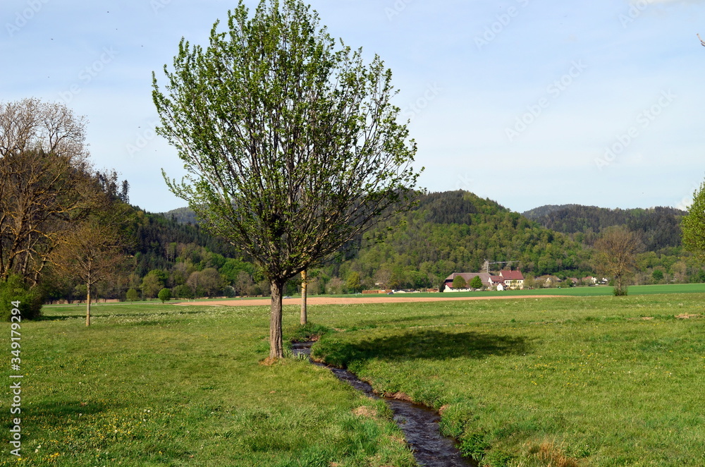 Grüne Frühlingslandschaft im Dreisamtal bei Freiburg Grüne Frühlingslandschaft im Dreisamtal bei Freiburg