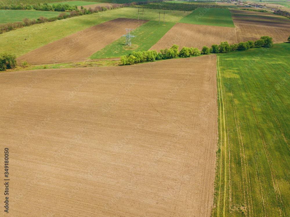 Aerial drone photo of cereal farm land during spring time.