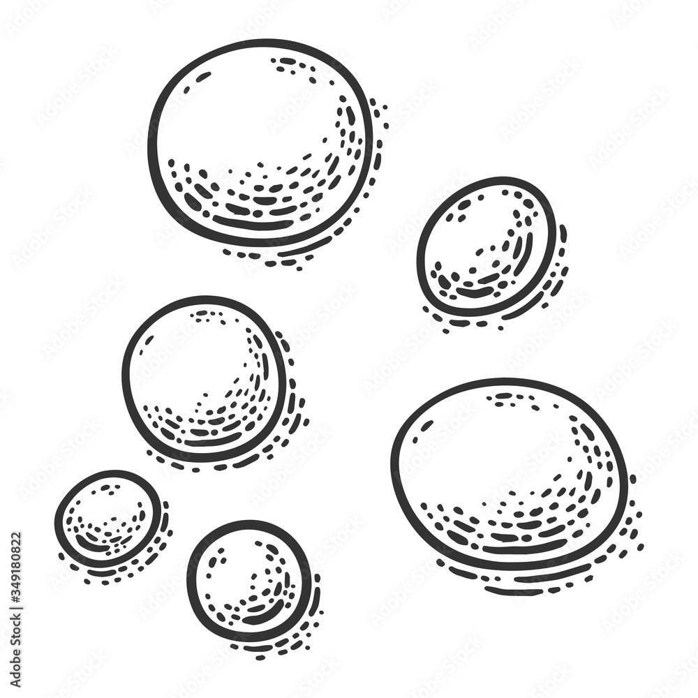 Fototapeta premium drops of water on the surface sketch engraving vector illustration. T-shirt apparel print design. Scratch board imitation. Black and white hand drawn image.