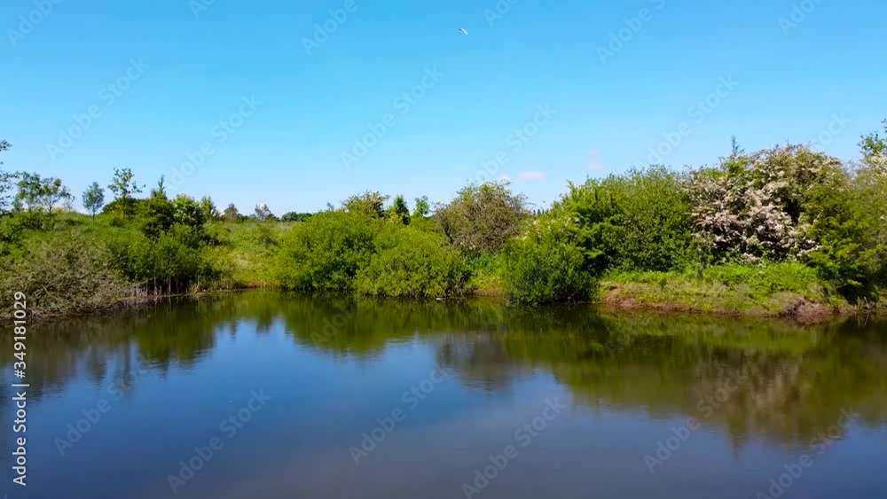 Slow and steady glide over a golf course pond Slow and steady glide over a golf course pond