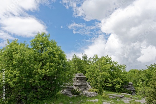 Griechenland - Vikos-Aoos Nationalpark - Steinwald photo