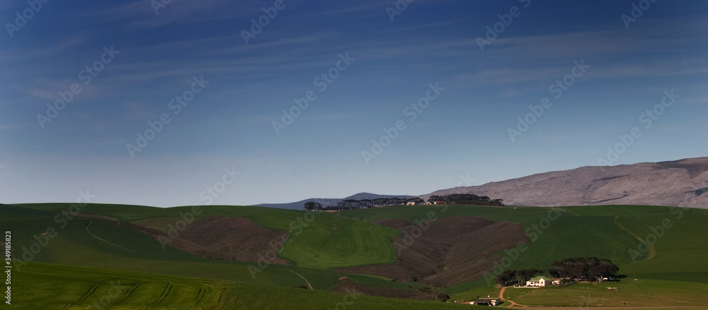 Obraz premium landscape with canola