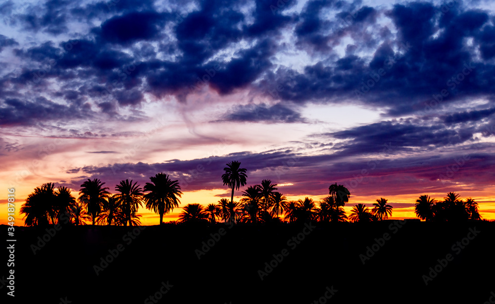 Magnificent sunset over an oasis in the Sahara desert. Awe colors of the evening sky. Magnificent sunset over an oasis in the Sahara desert. Awe colors of the evening sky.