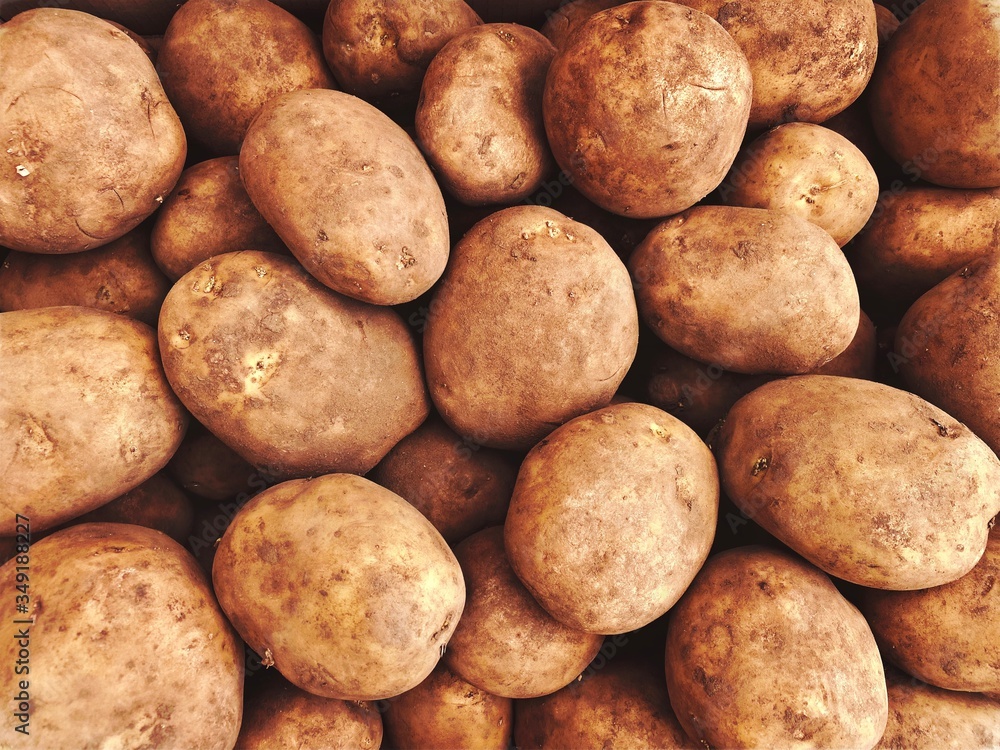Close up view of rustic earthy potatoes, dirty from the soil. Filling the frame with fresh and organic vegetables. Staple foods background. Close up view of rustic earthy potatoes, dirty from the soil. Filling the frame with fresh and organic vegetables. Staple foods background.