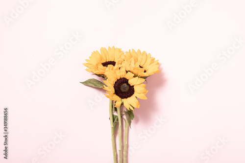 Summer concept with sunflowers. Border arrangement background. Flatlay, top v...