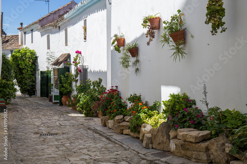 Fototapeta Naklejka Na Ścianę i Meble -  street of an Andalusian town, white facades full of flower pots, cobblestone ground, Castellar de la Frontera, Cádiz
