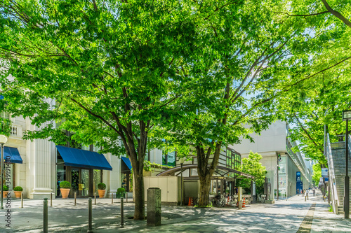 東京 青山 表参道 ~ Omotesando, the most fashionable street in Tokyo, Japan ~