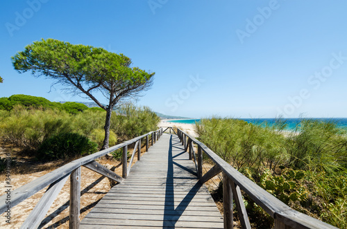 Wooden walkway across pine forest to Bolonia beach. Atlantic coast of Tarifa, Province of Cadiz, Andalusia, Southern Spain.