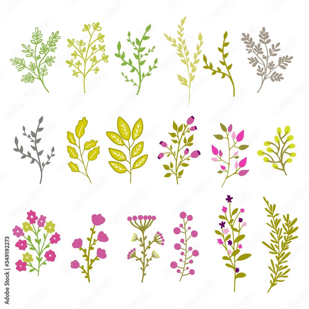 set of vector floral elements