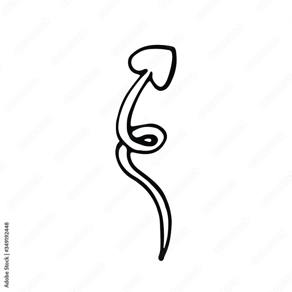 Fototapeta premium handwritten vector wavy arrow for valentines day on white background.arrow that looks like a sperm black and white