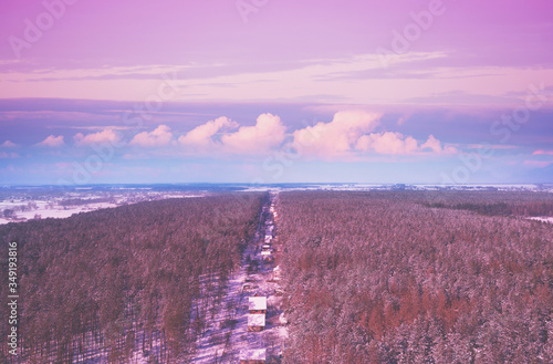 View from above of village lokated in pine forest in snowy winter in evening photo