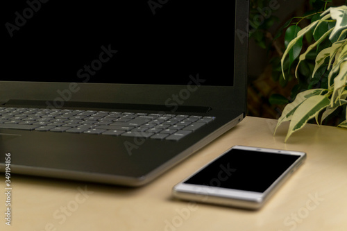 smartphone and laptop with copyspace and plants on background