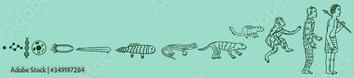 Evolution vector illustration